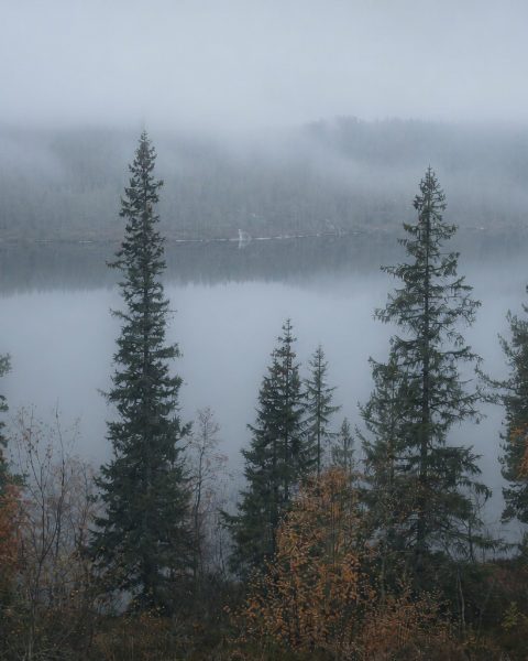雾图（Mist Atlas）风格样片