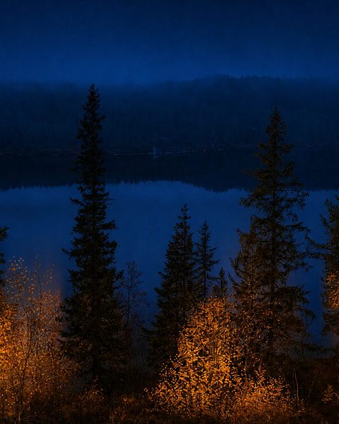 Dream Geography 展样片：深蓝夜色中的湖畔松林，灯笼般的暖光
