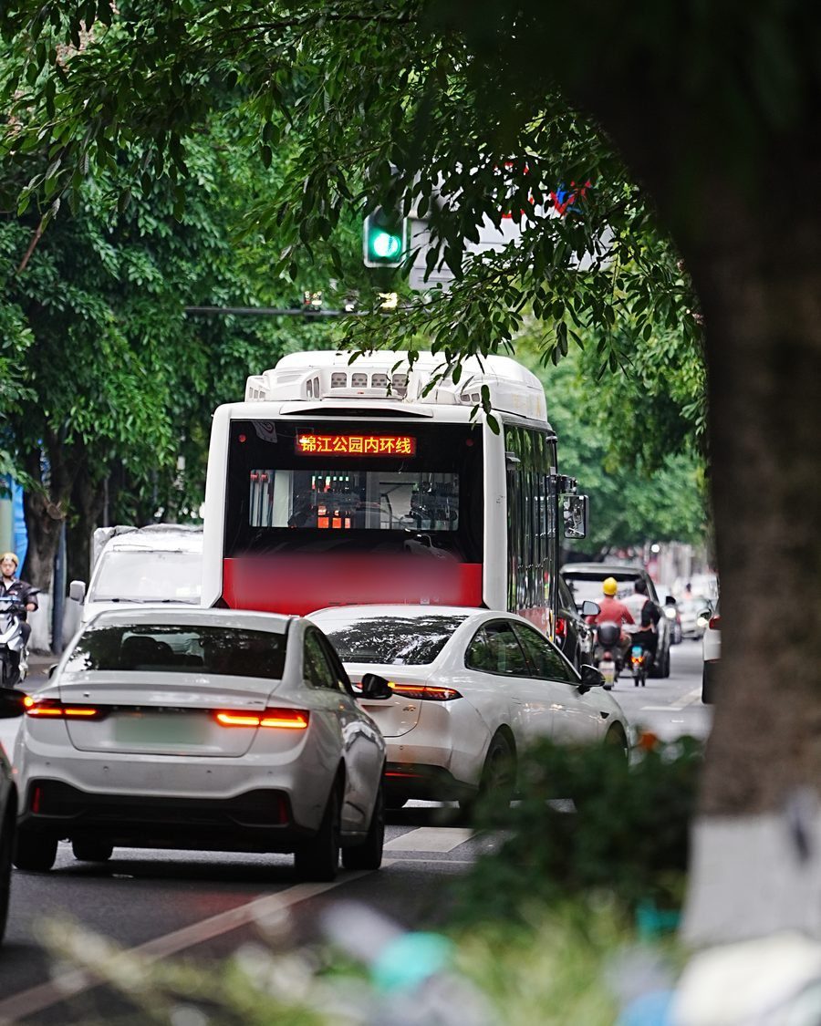 原始照片：绿树下的城市街道，红白色公交车与两辆白色轿车